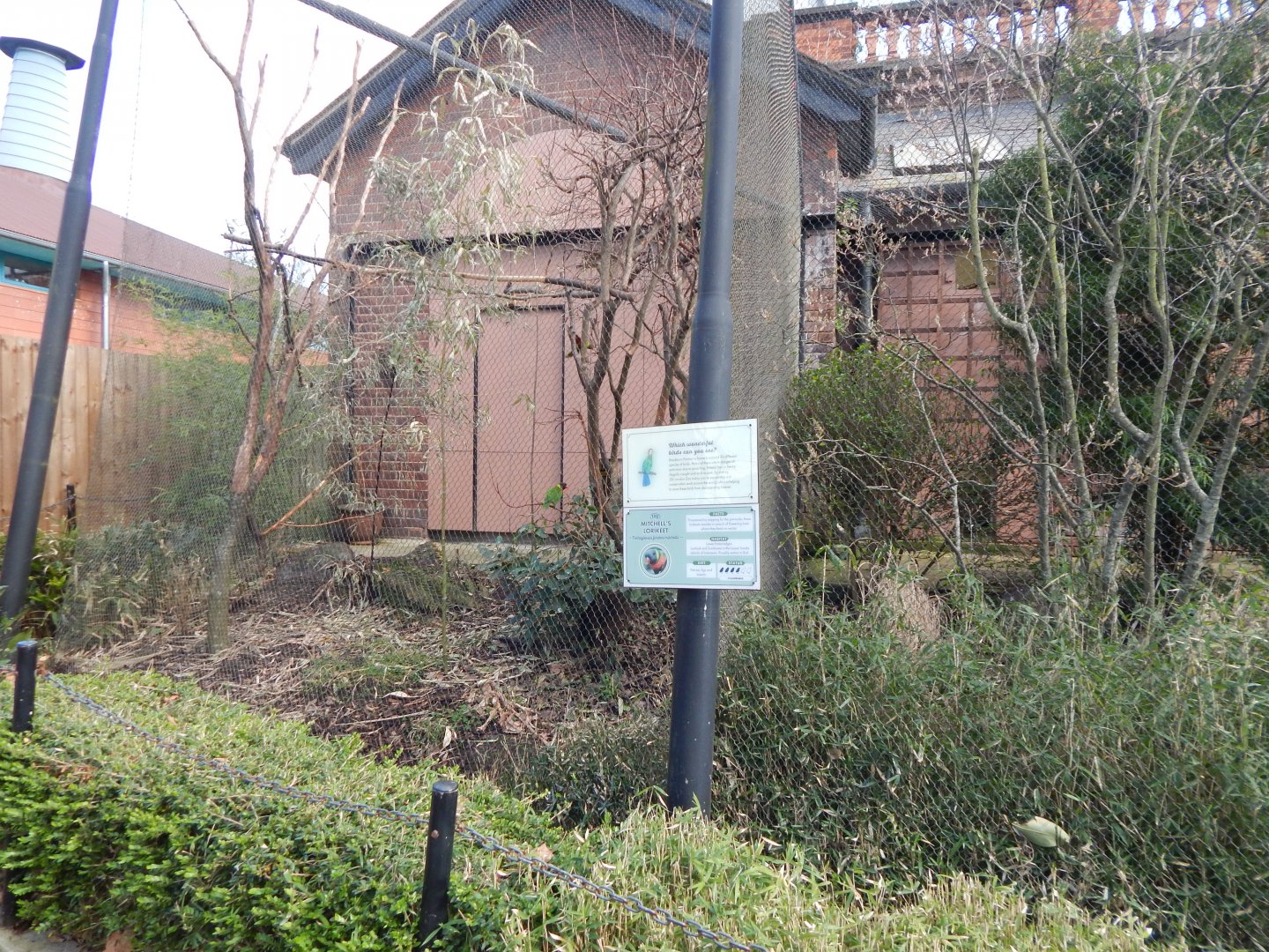 Blackburn Pavilion - external aviaries 180322