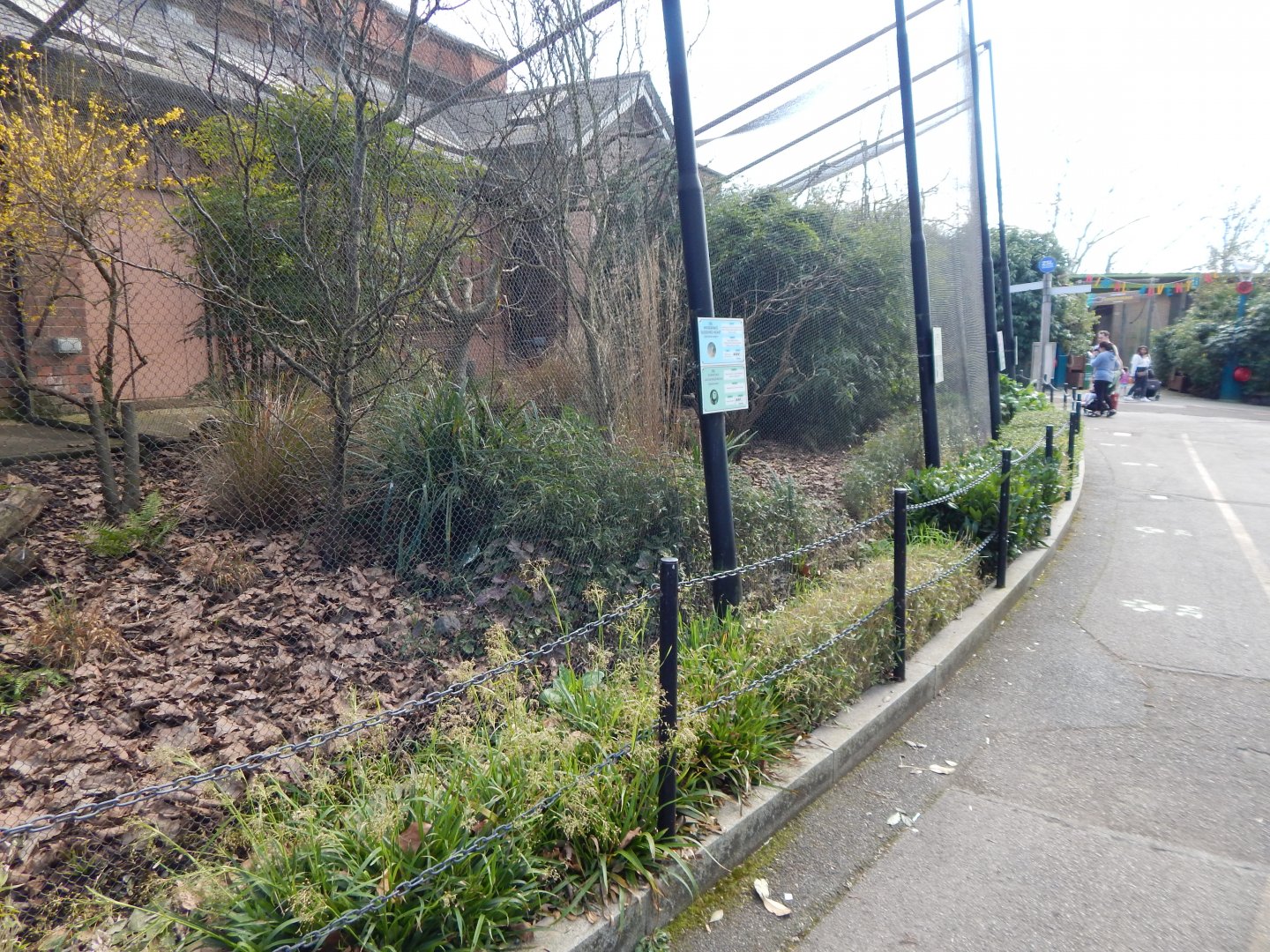 Blackburn Pavilion - external aviaries 180322