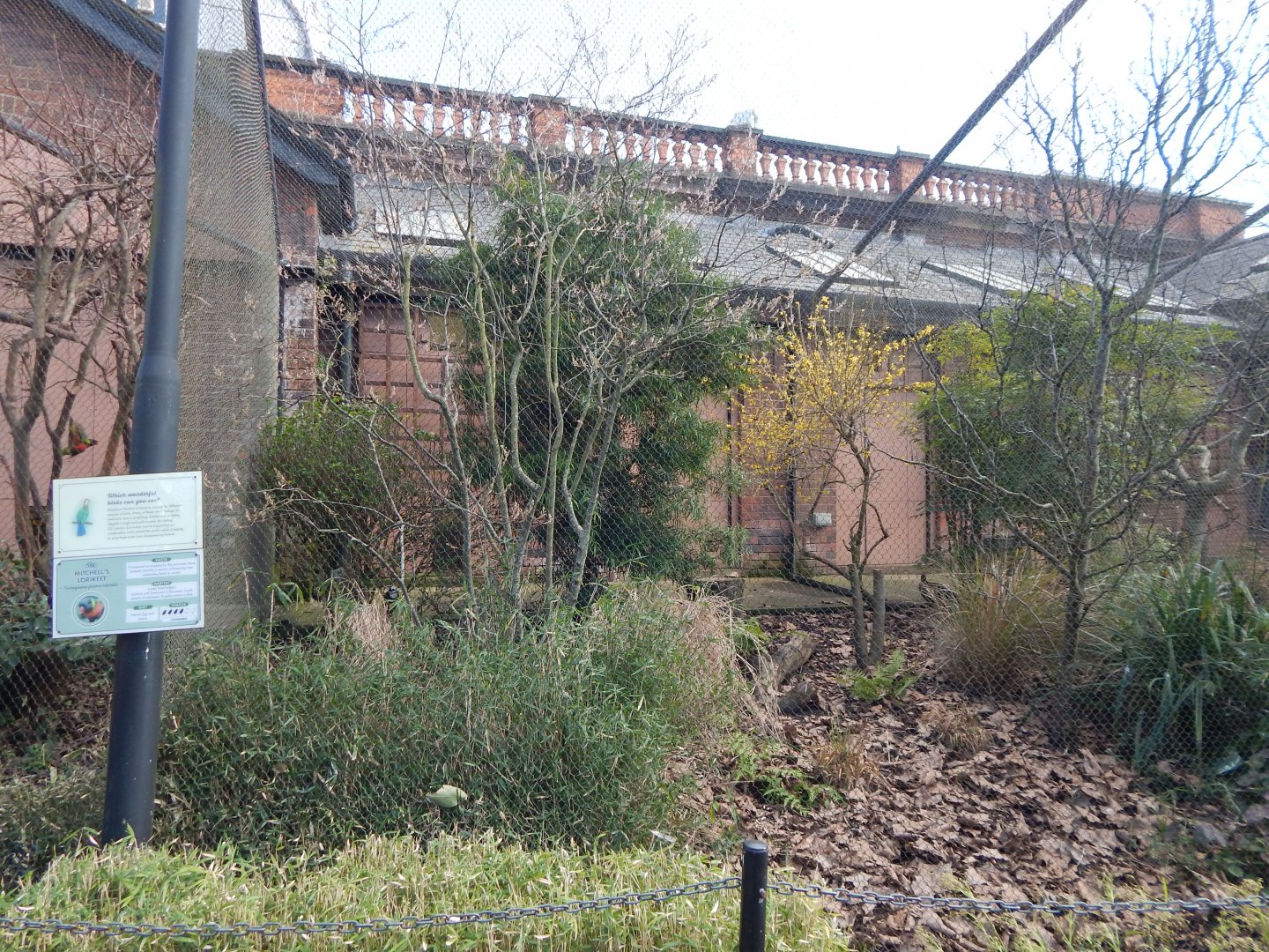 Blackburn Pavilion - external aviaries 180322