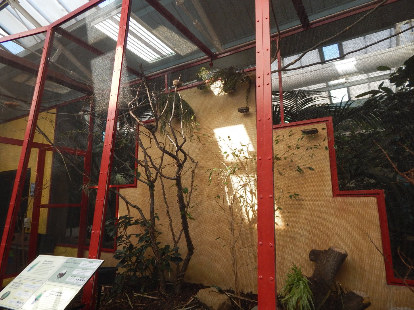 Blackburn Pavilion - indoor aviary 180322