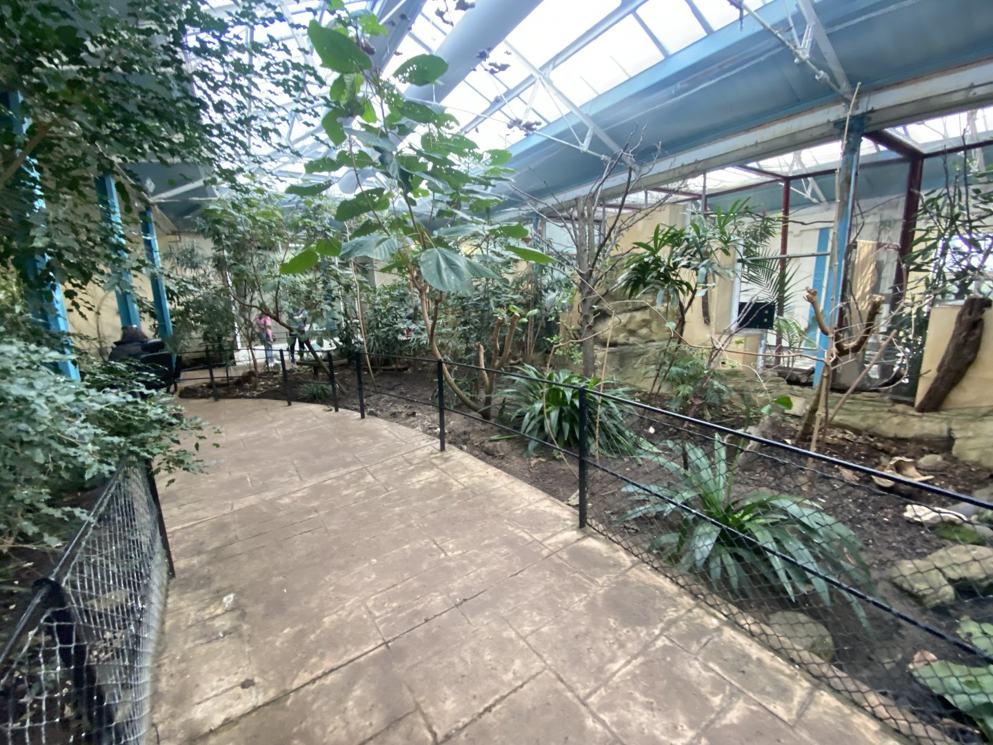 Blackburn Pavilion - indoor walkthrough aviary 180322
