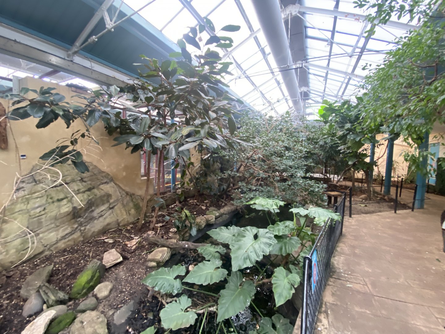 Blackburn Pavilion - indoor walkthrough aviary 180322