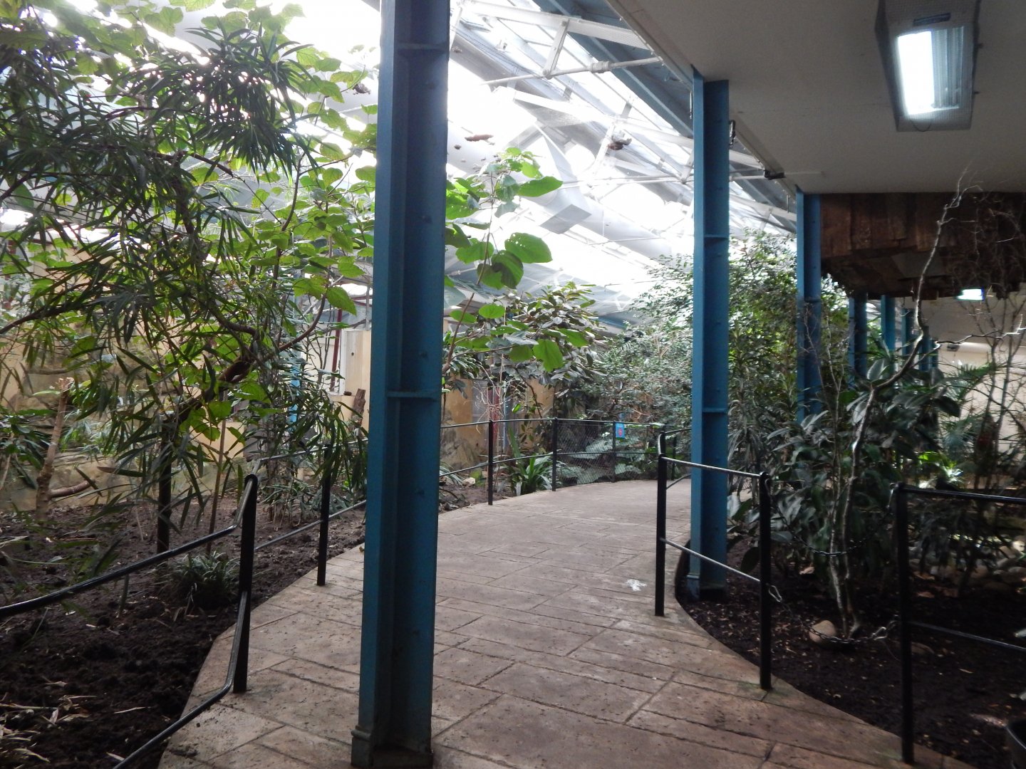 Blackburn Pavilion - indoor walkthrough aviary 180322