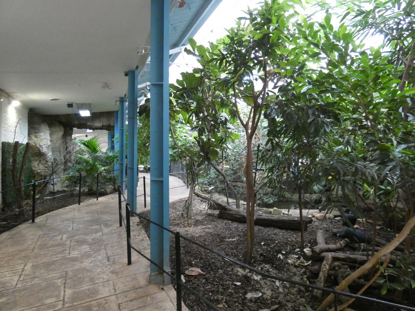 Blackburn pavilion large walk-through