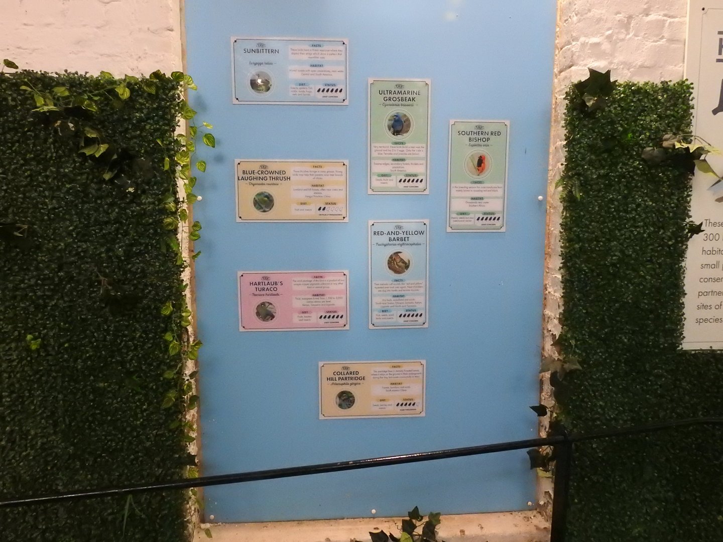 Blackburn Pavilion Walkthrough Signs 2