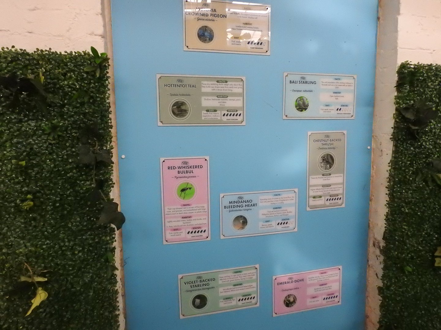 Blackburn Pavilion Walkthrough Signs 3