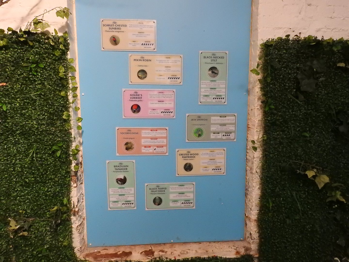 Blackburn Pavilion Walkthrough Signs