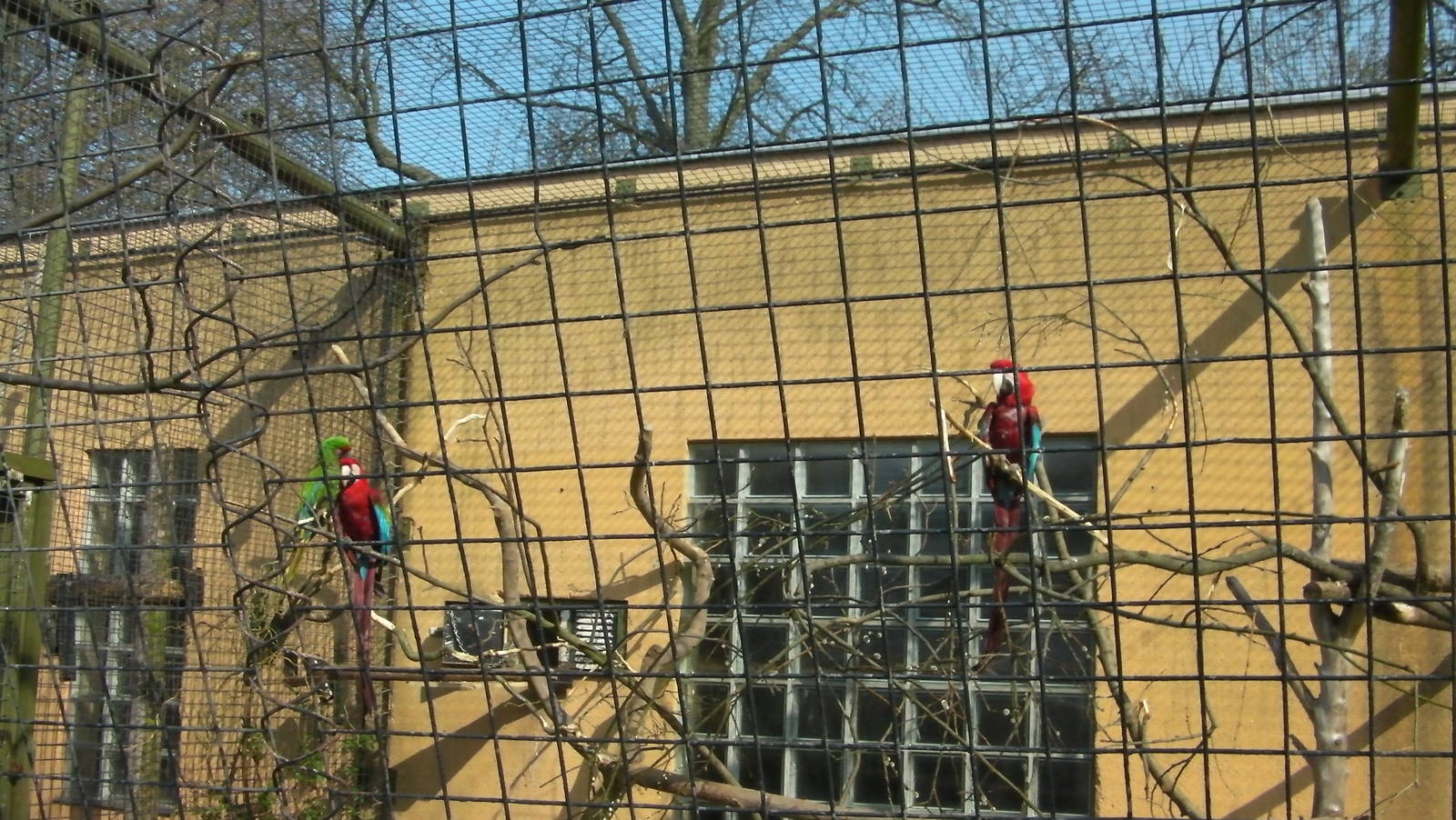 Blackburn Pavillion - 24.03.2012