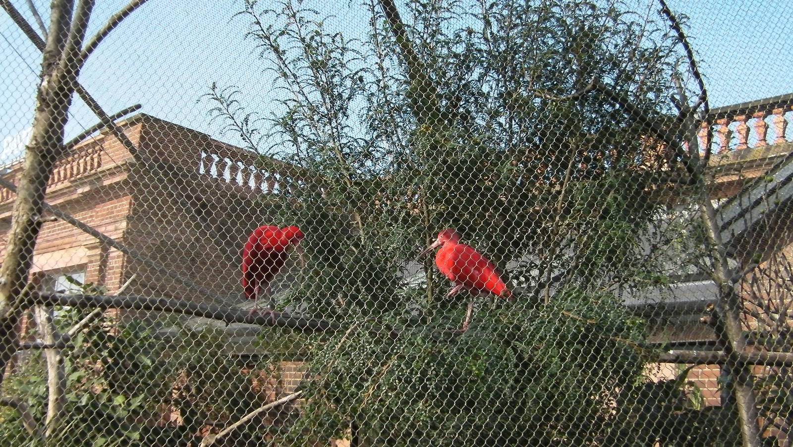 Blackburn Pavillion - 24.03.2012