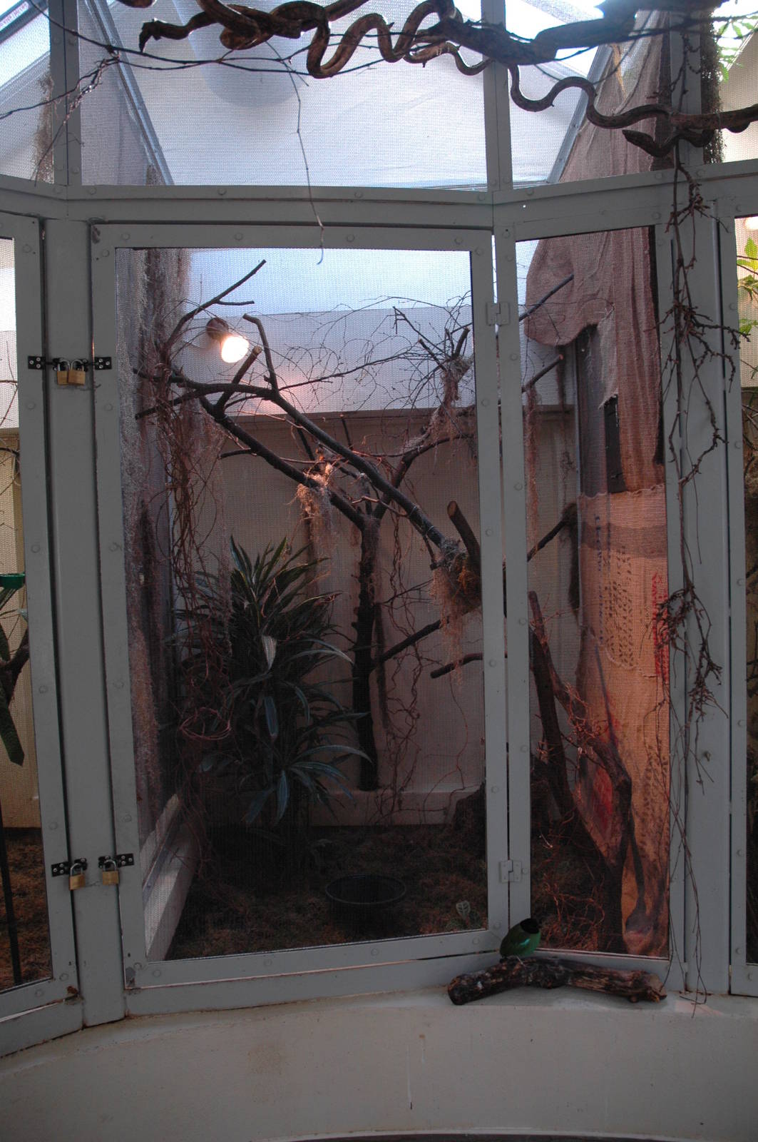 Blackburn Pavillion - Hummingbird enclosures.