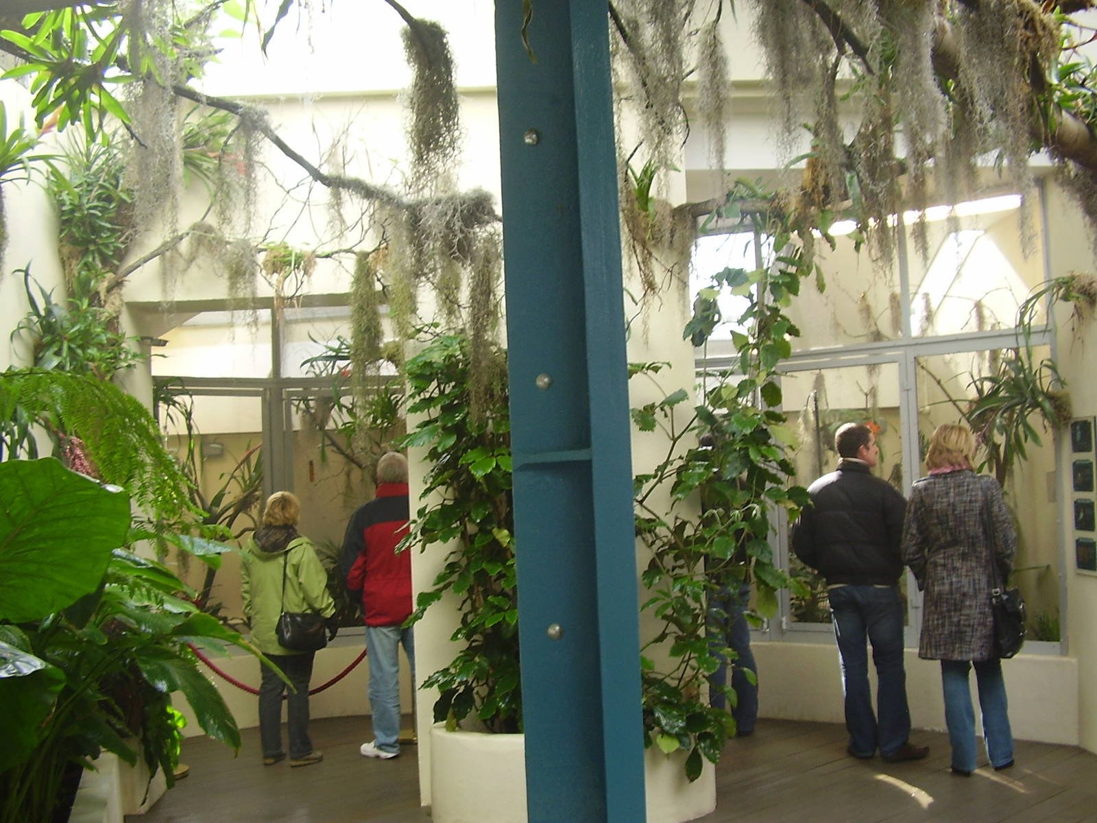 Blackburn Pavillion - Section 3 - Hummingbird/Sunbird flights