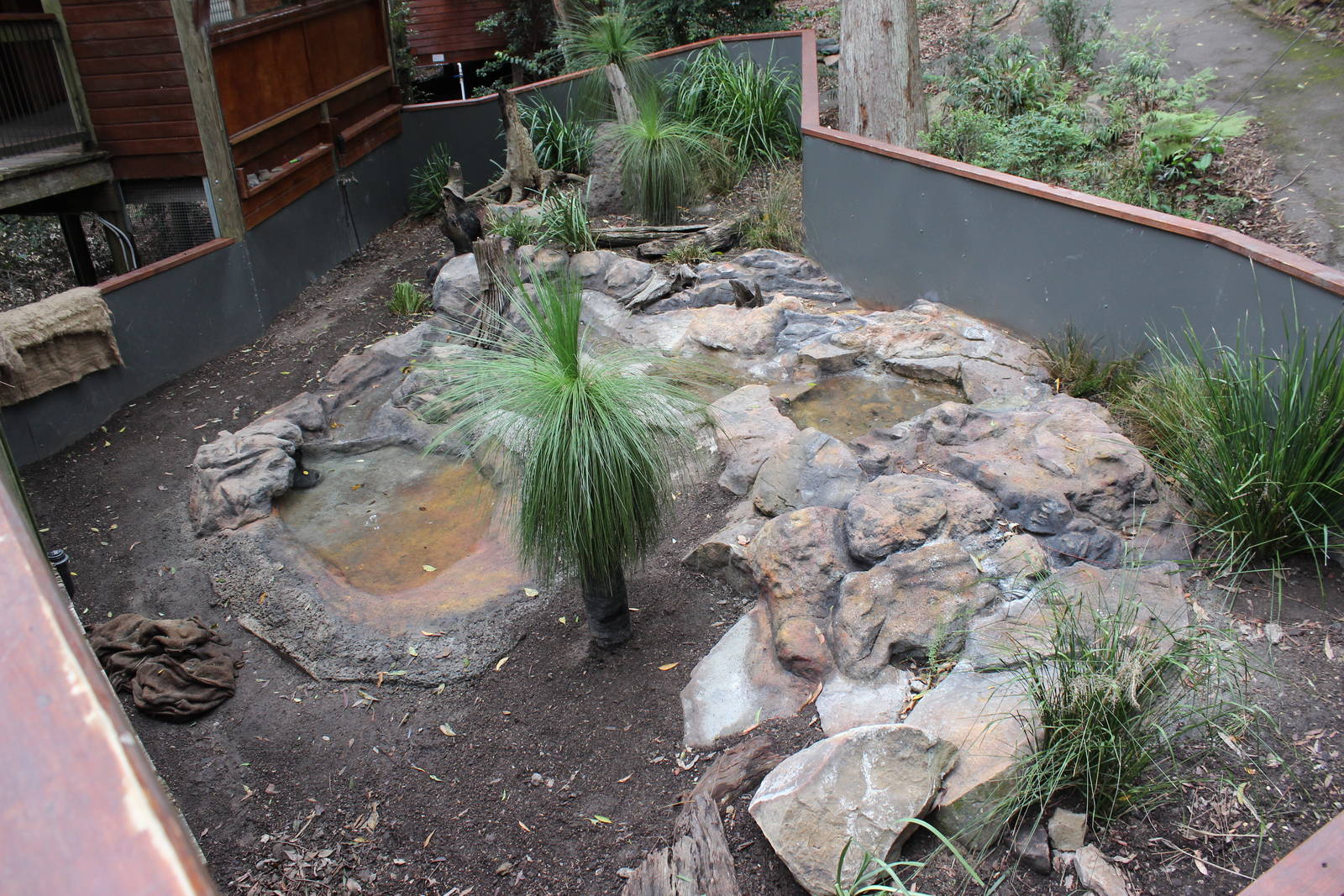 Blackbutt Reserve-Renovated Enclosure