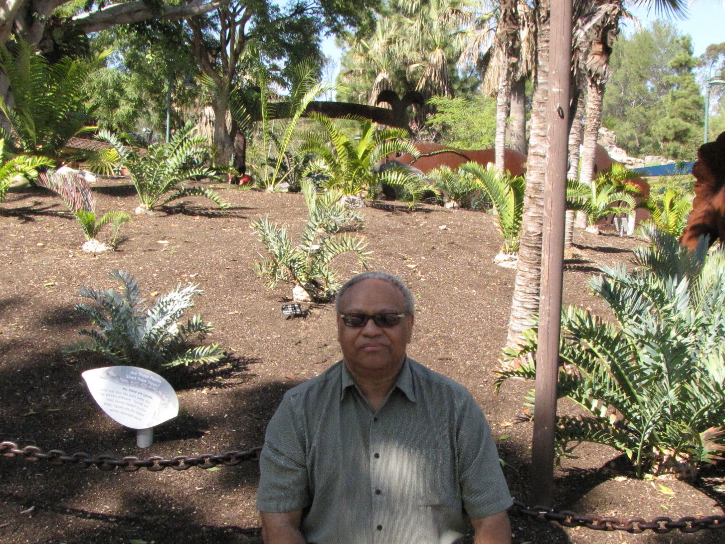 Blackduiker During Snow Days: Day 2