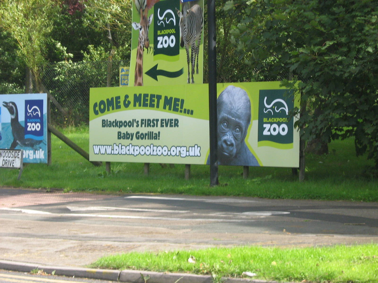 Blackpool Zoo Sign.