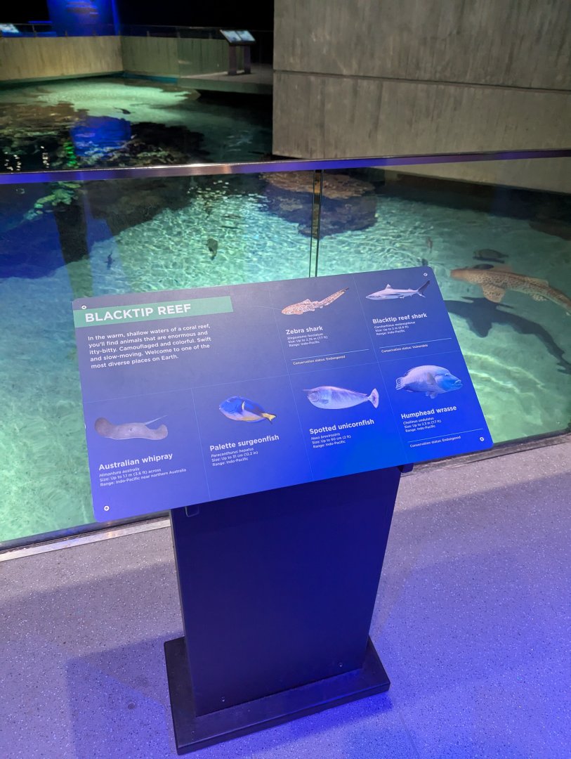 Blacktip Reef Animal ID Display