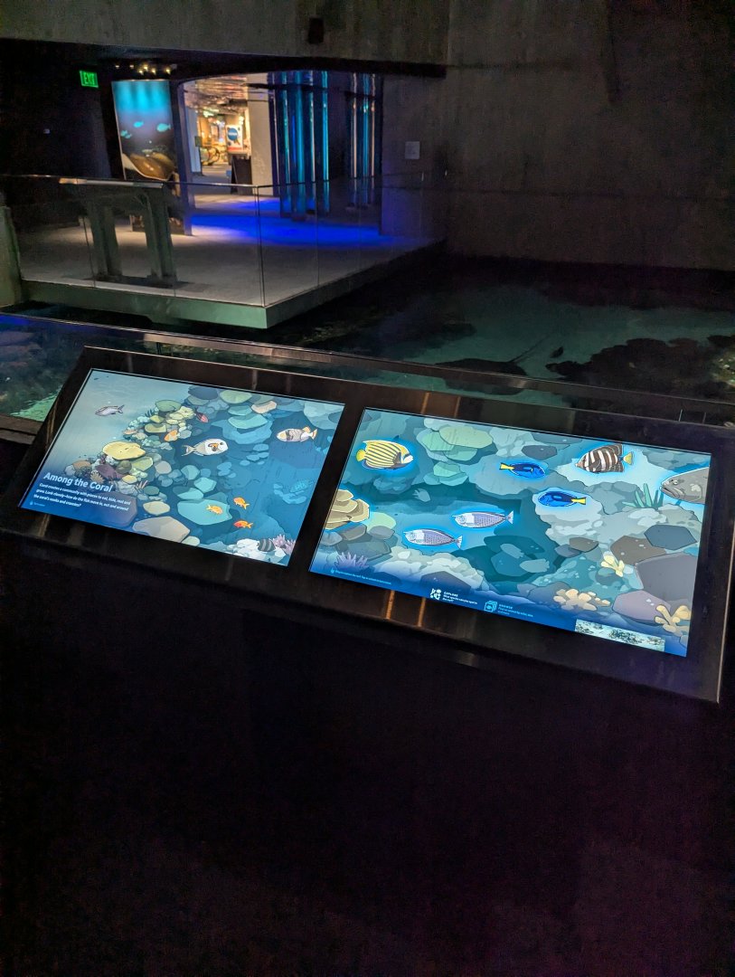 Blacktip Reef Animal ID Display