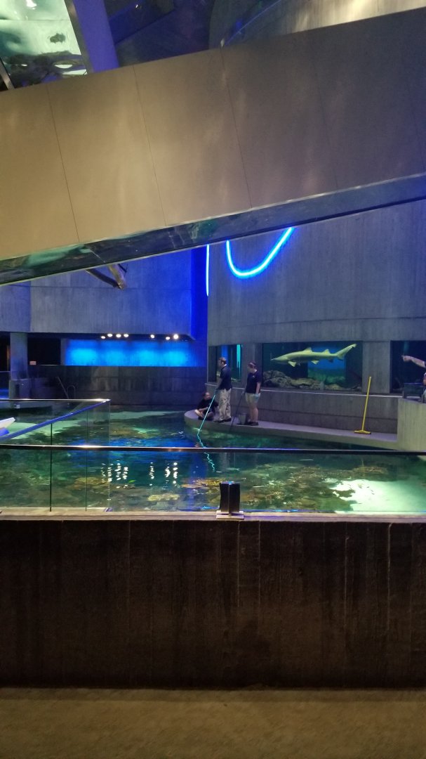 Blacktip Reef from ground floor