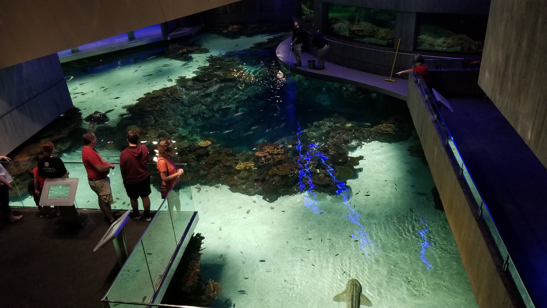 Blacktip Reef from second floor