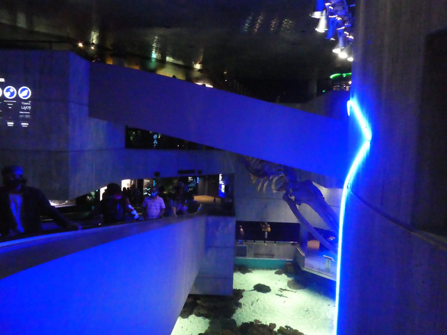 Blacktip Reef; General View