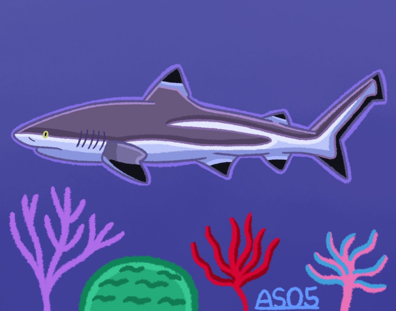 Blacktip Reef Shark (Remastered 2024)