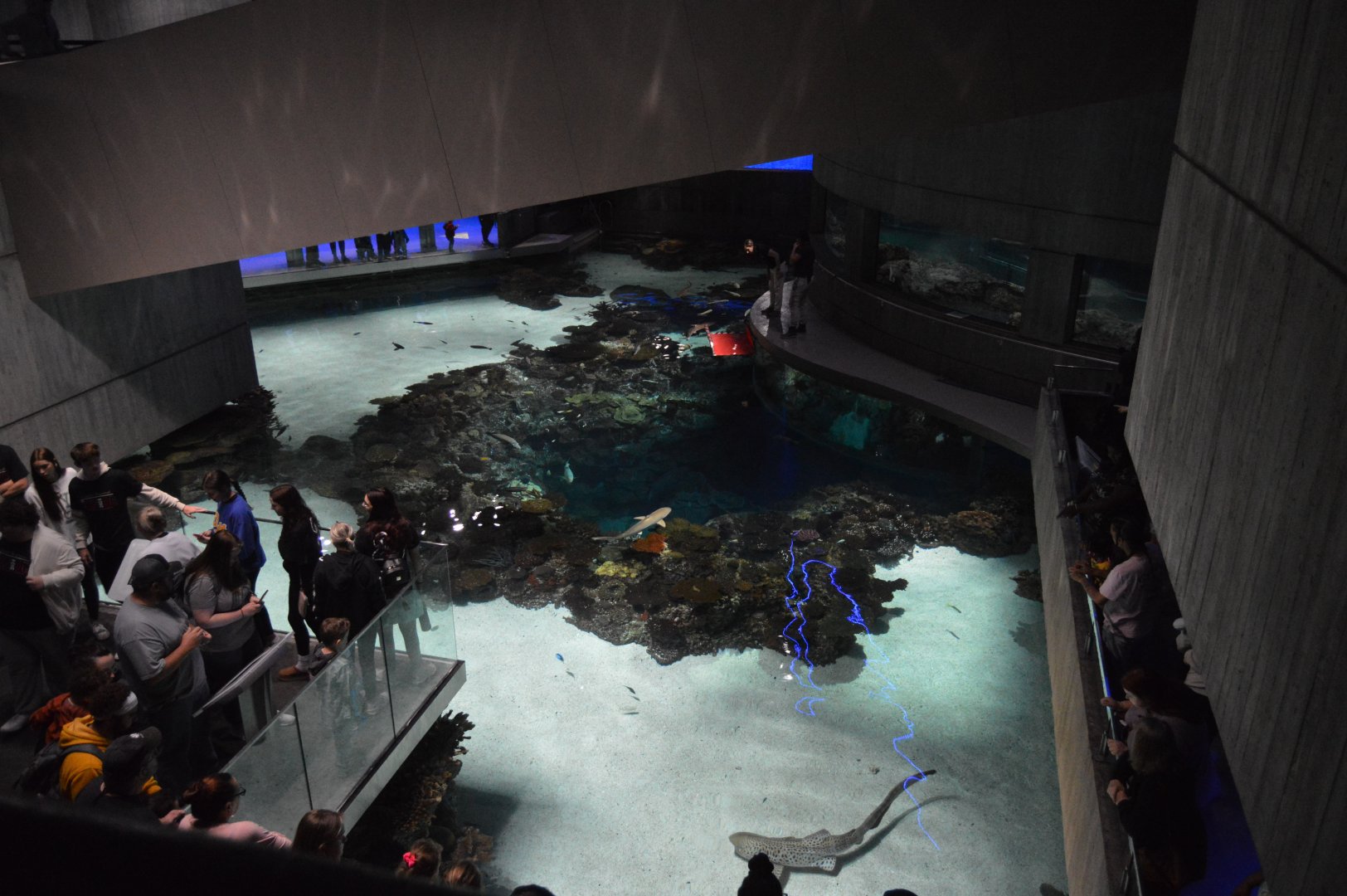 Blacktip Reef - View from 2nd Floor