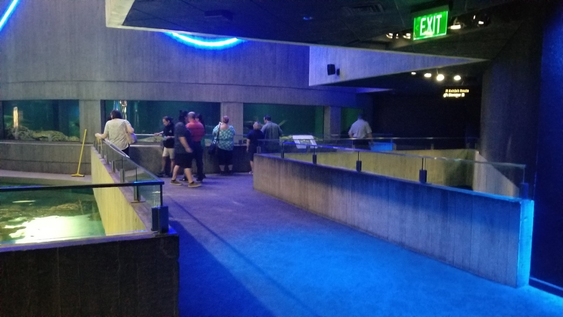 Blacktip Reef walkway