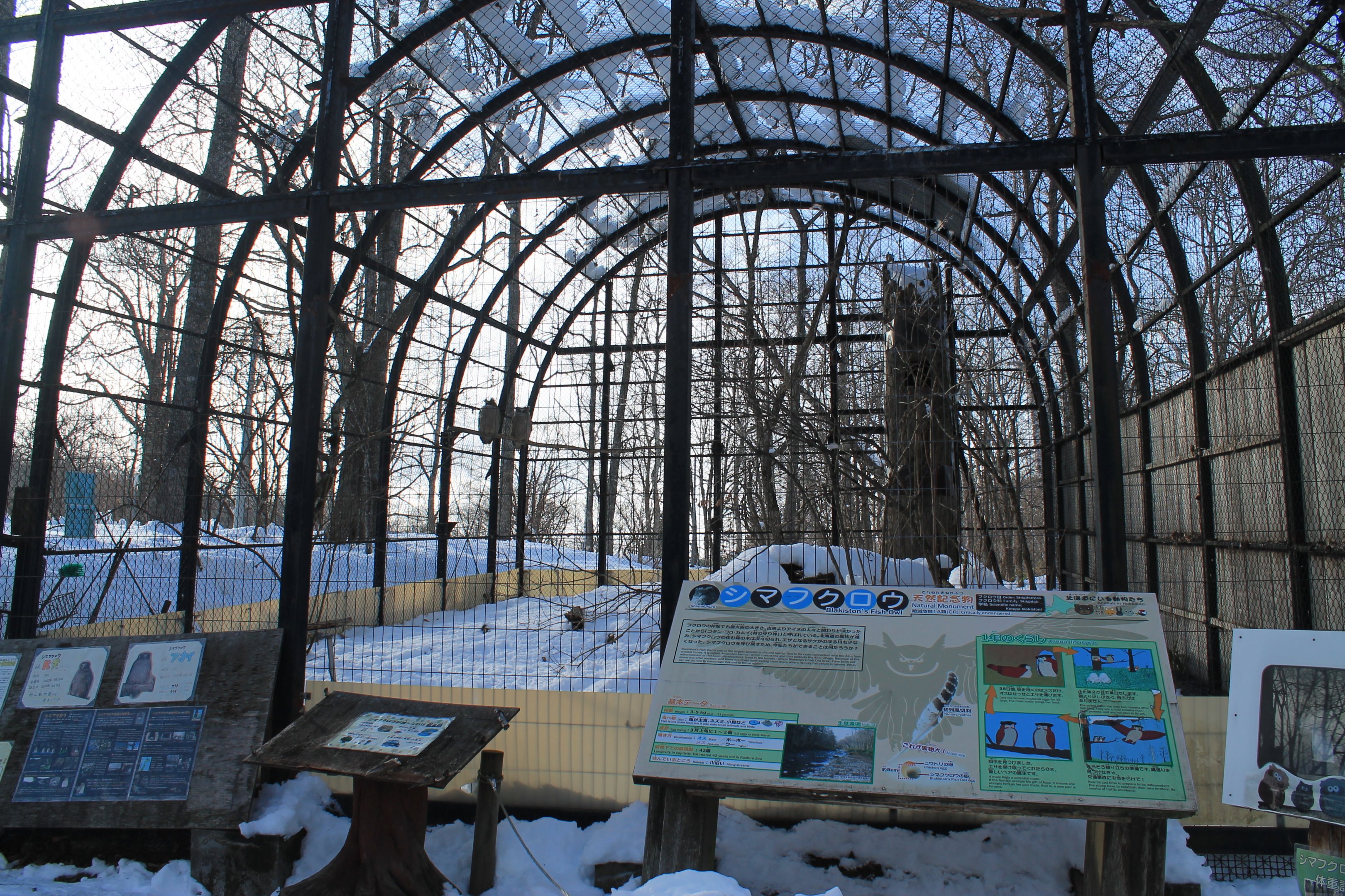 Blakiston's Fish Owl aviary, Kushiro Zoo