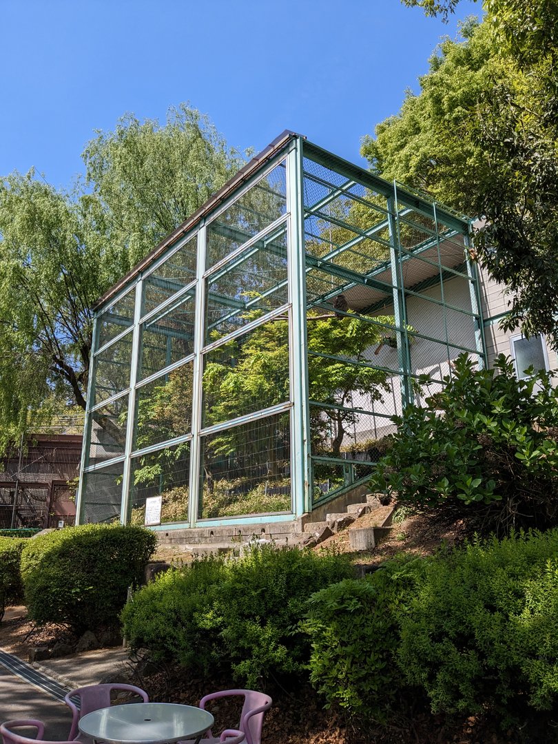 Blakiston's fish owl exhibit