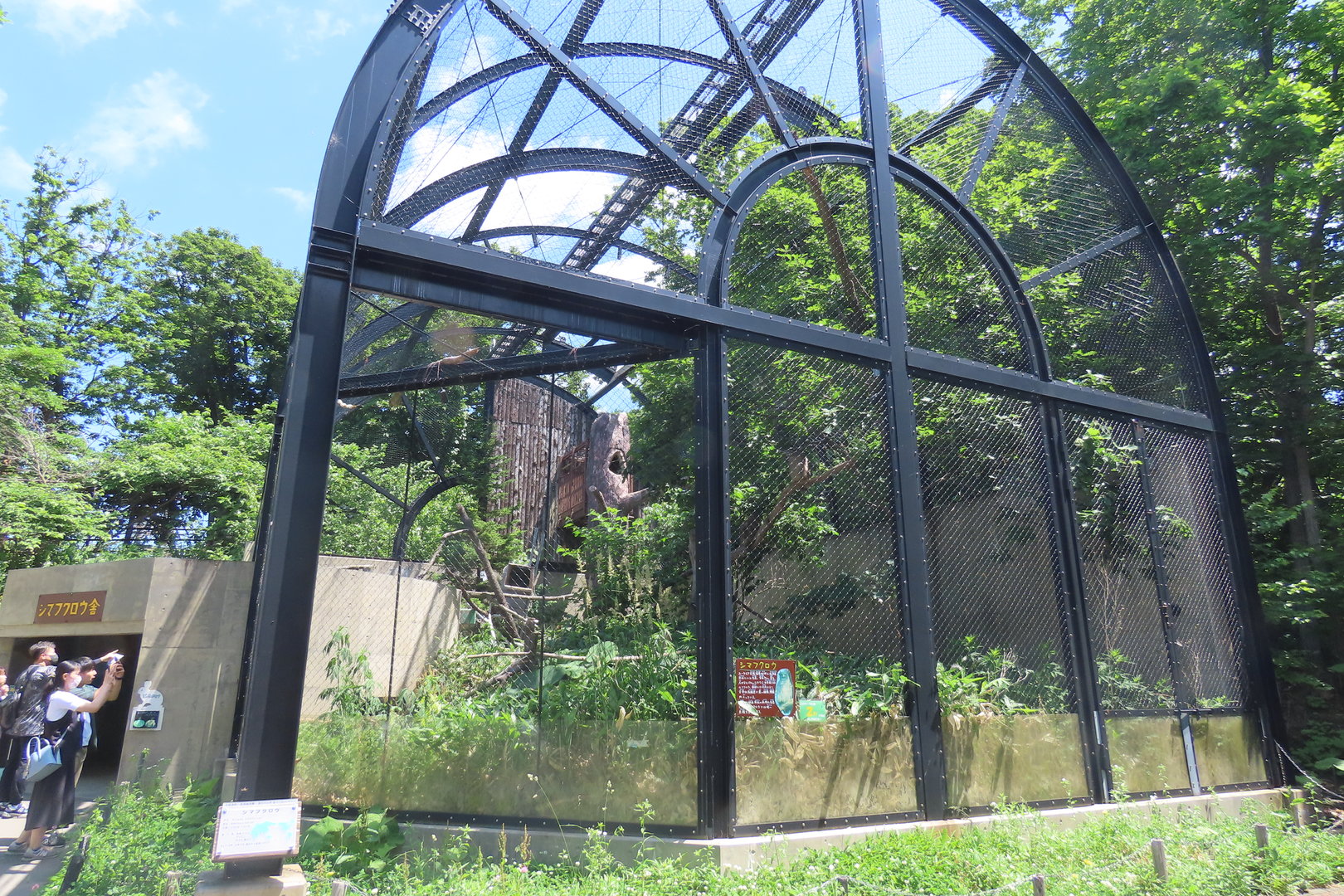 Blakiston's fish owl exhibit