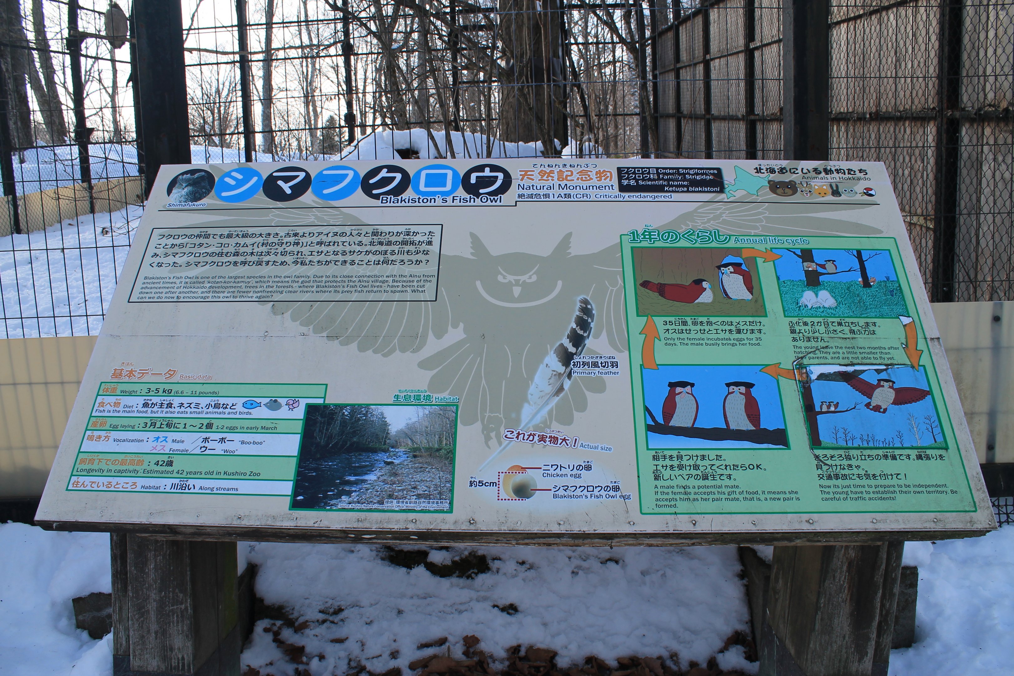 Blakiston's Fish Owl signage, Kushiro Zoo