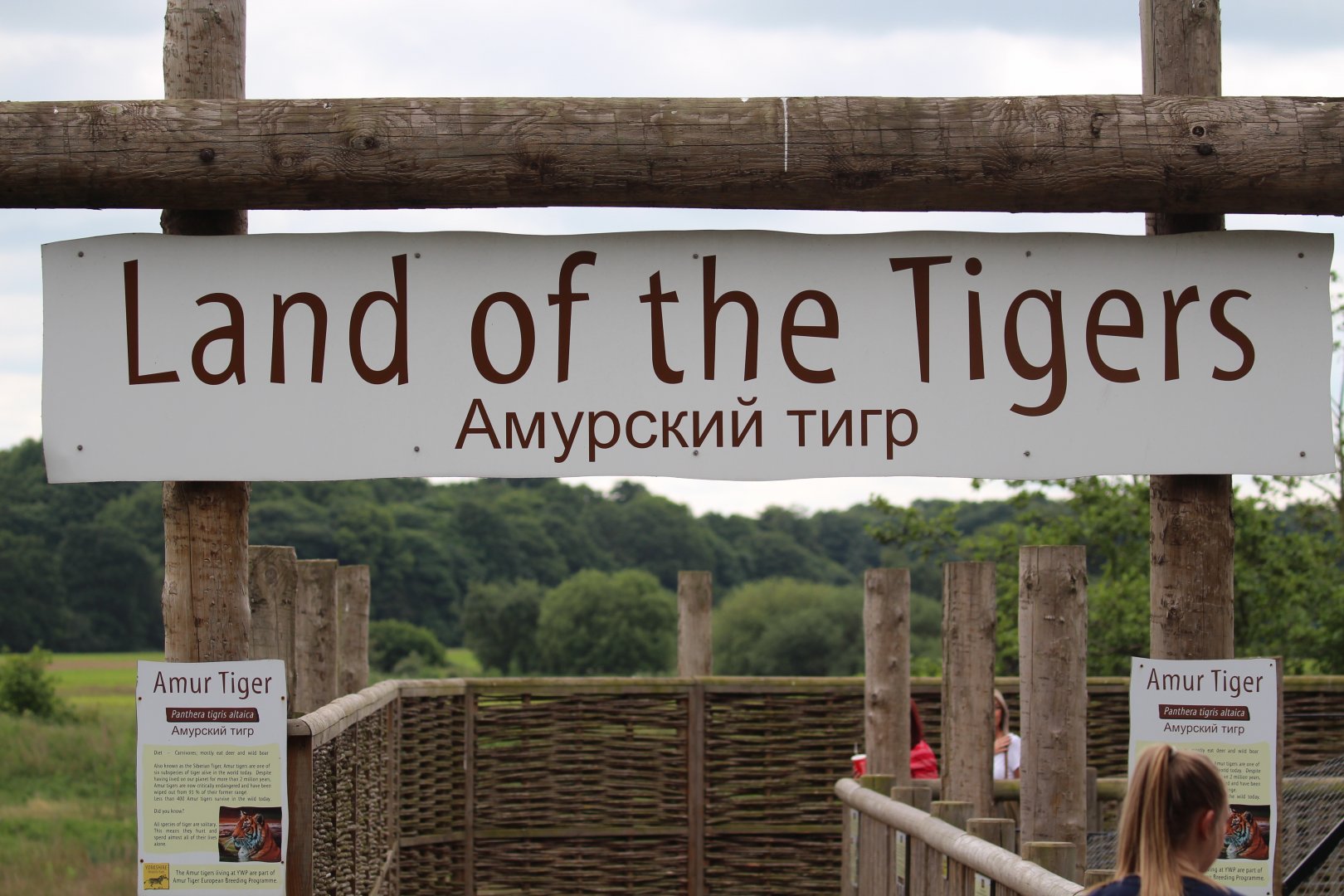 Bland visual identity