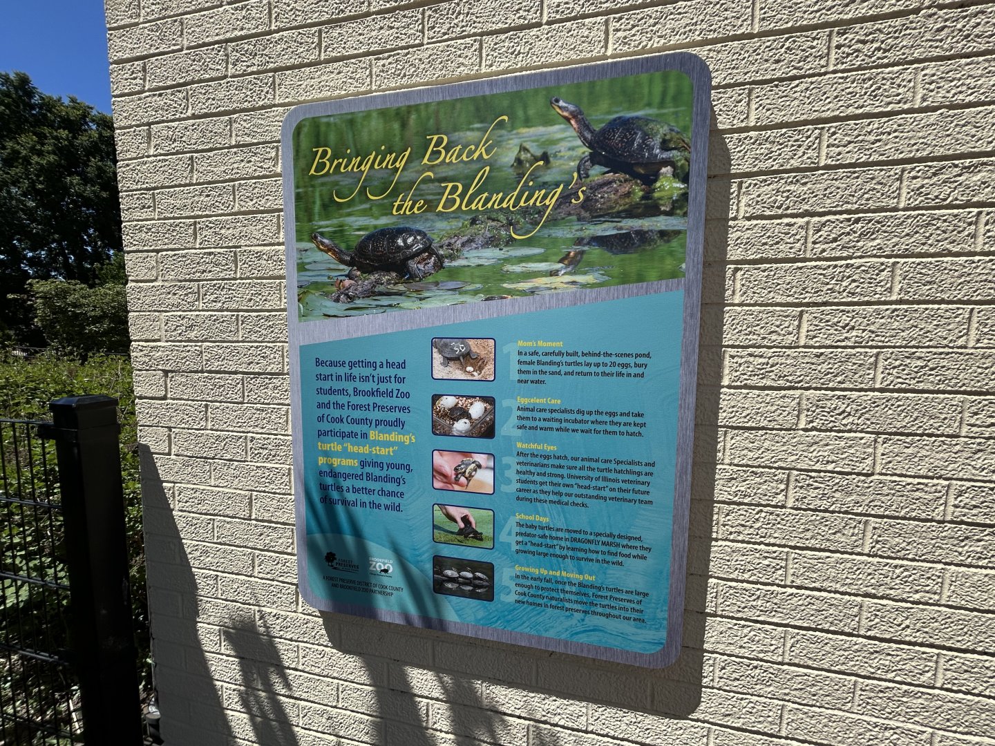 Blanding’s Turtle Signage