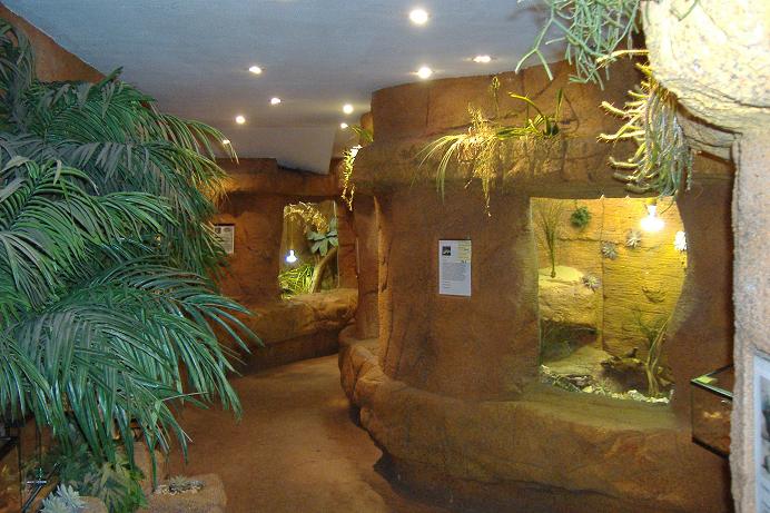 Blankenberg Serpentarium vivs