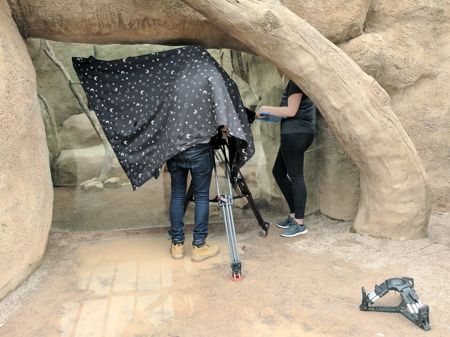 Blast! Films - 26/07/2017