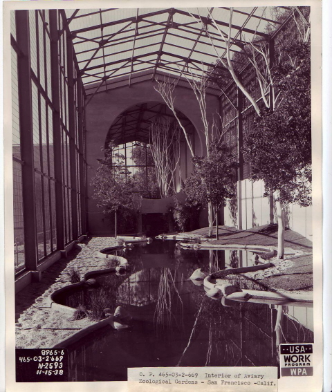 Blast from the past: South American Aviary