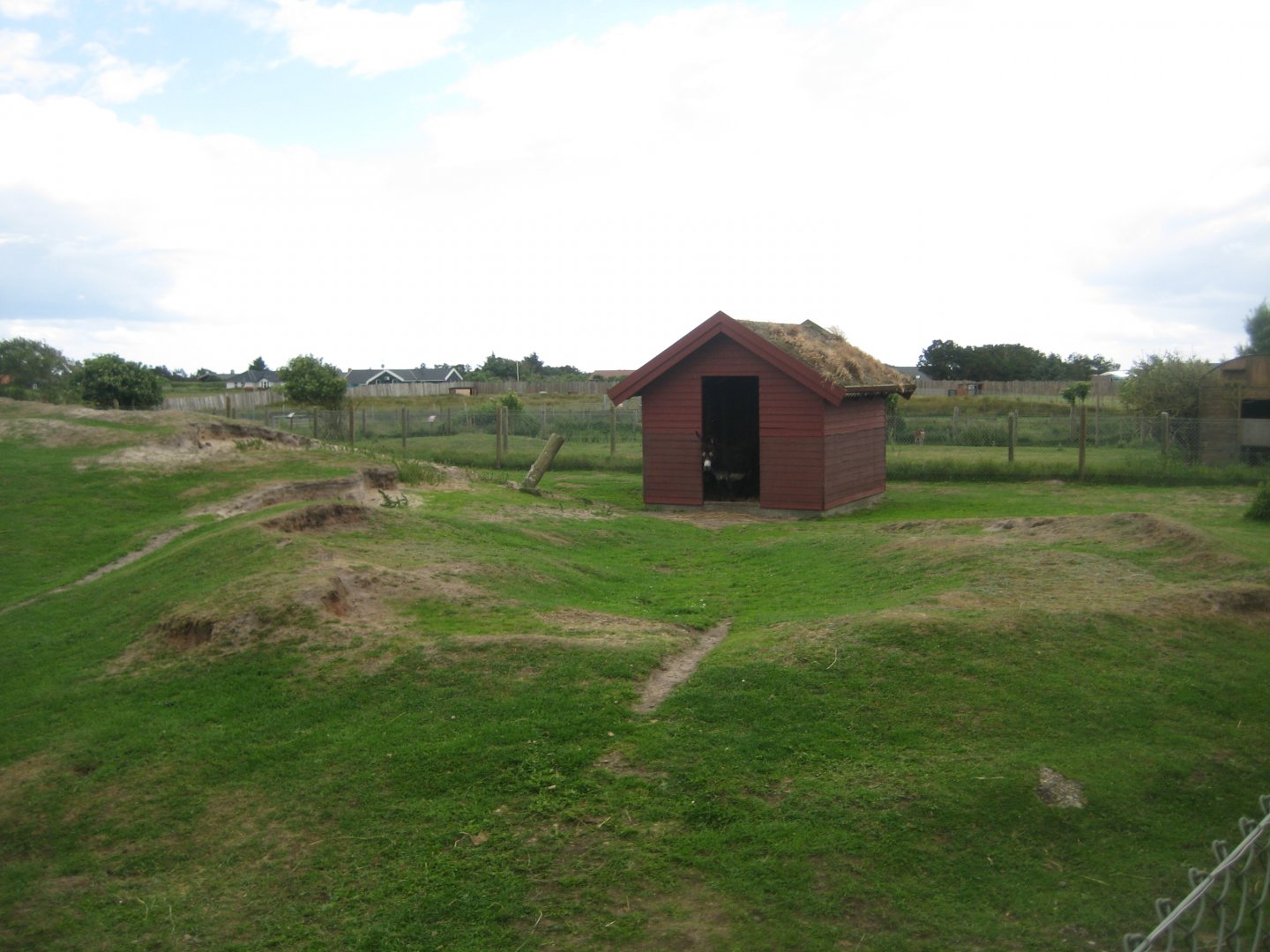 Blåvand Zoo - Donkey exhibit