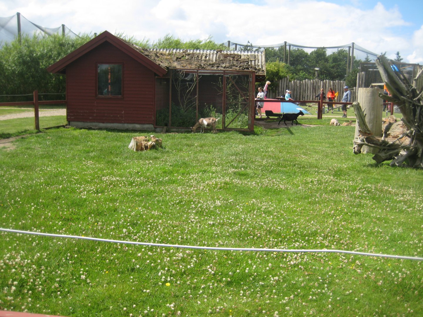 Blåvand Zoo - Goat exhibit