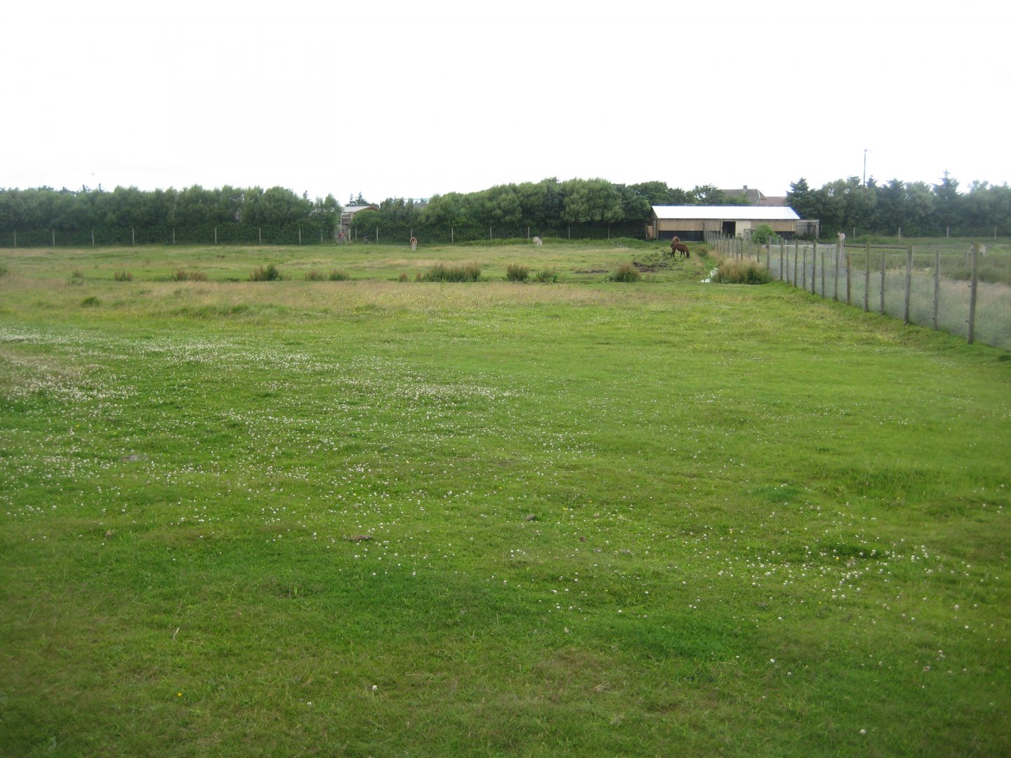 Blåvand Zoo - Hoofstock walkthrough