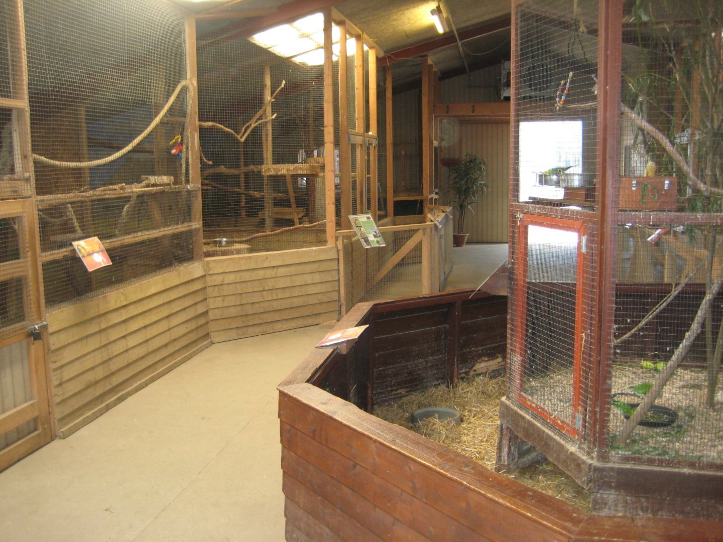 Blåvand Zoo - Monkey house