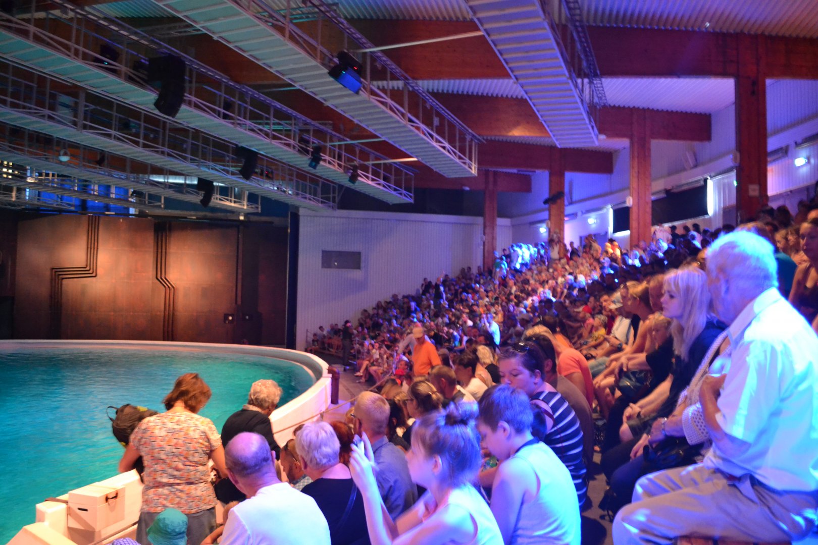 Bleacher in the dolphinarium at Kolmården