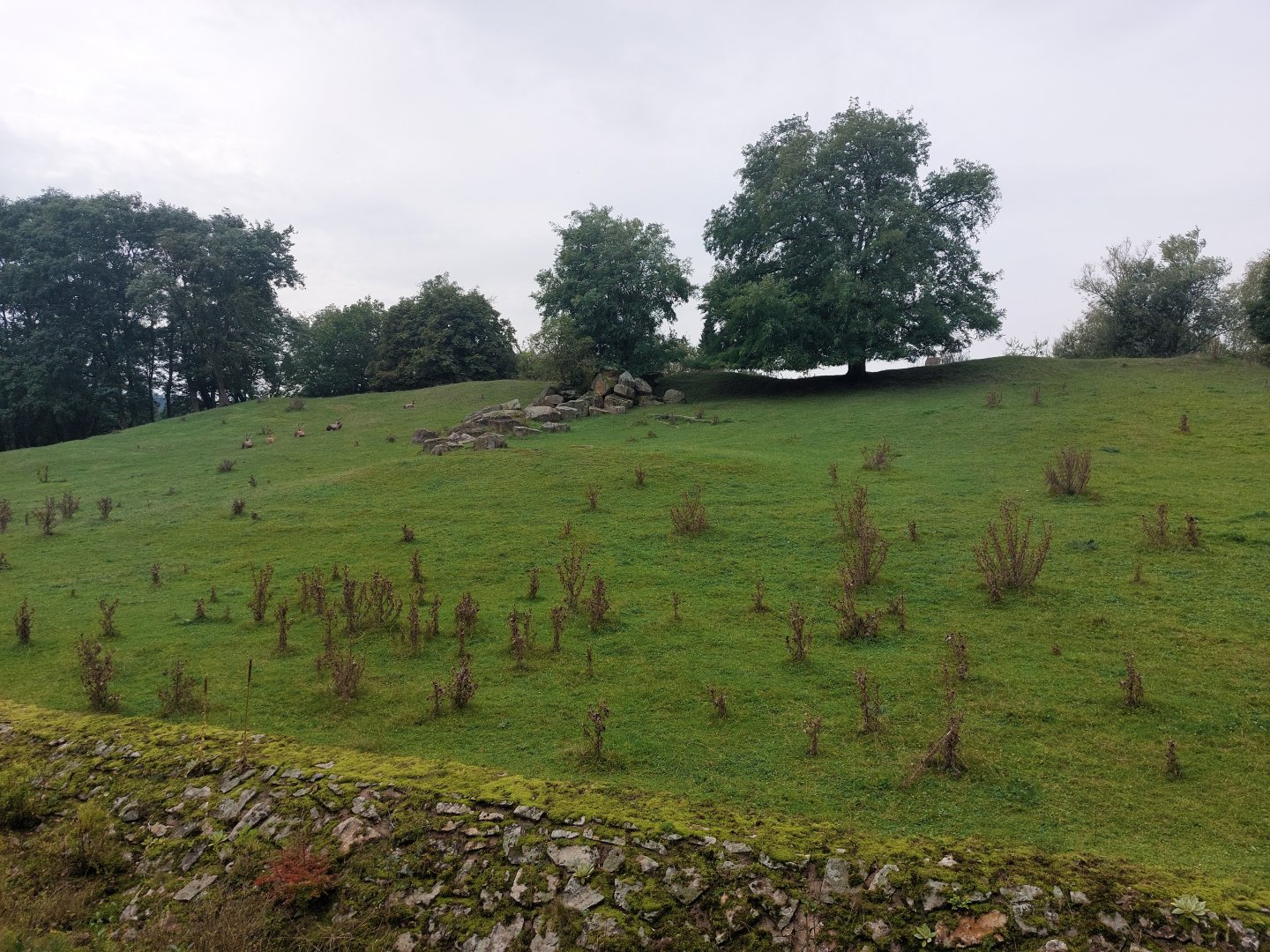 Blesbok & nile lechwe exhibit