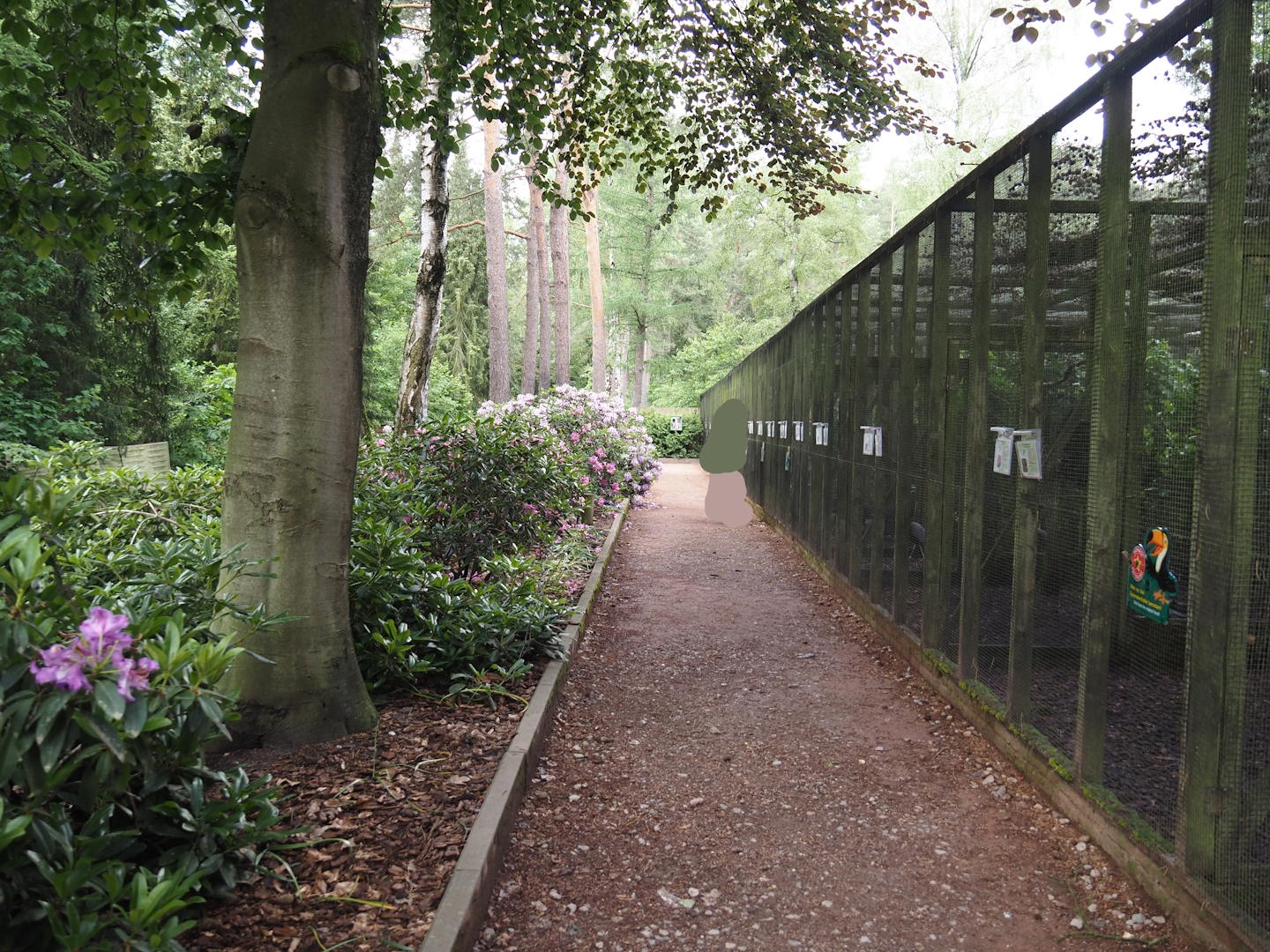 'Blick hinter den Kulissen' area, 2024-05-23