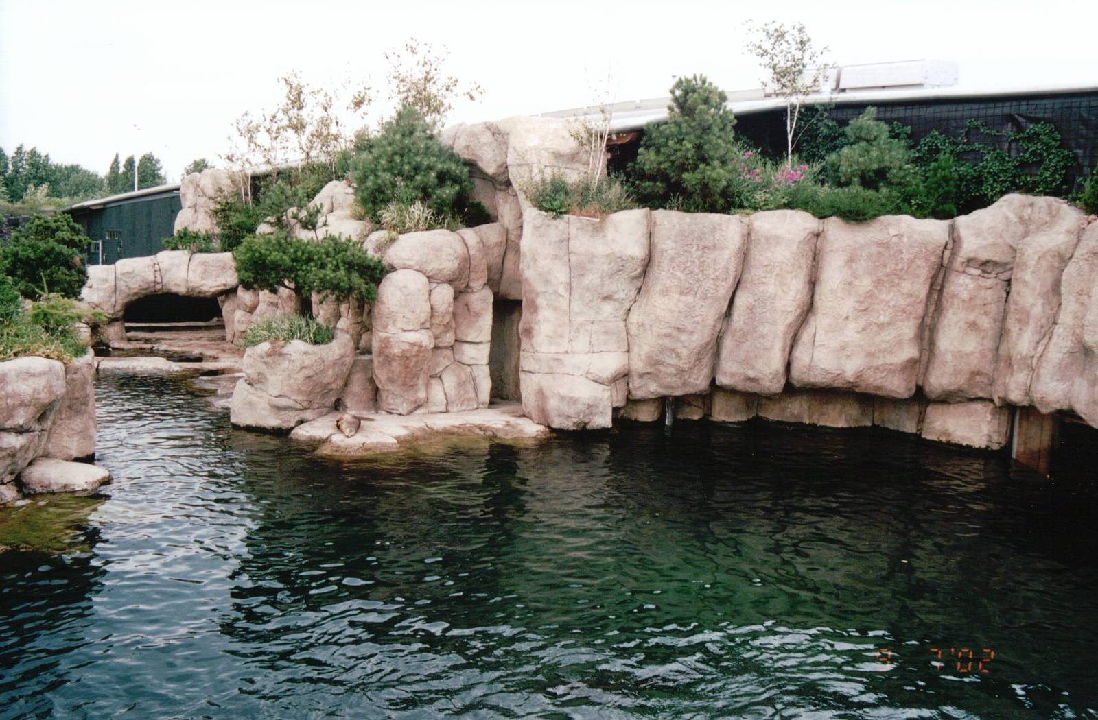 Blijdorp 2002 - Part of the California Sea Lion exhibit