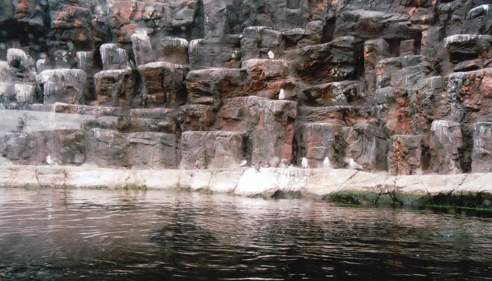 Blijdorp 2002 - Sea Bird exhibit in the Oceanium