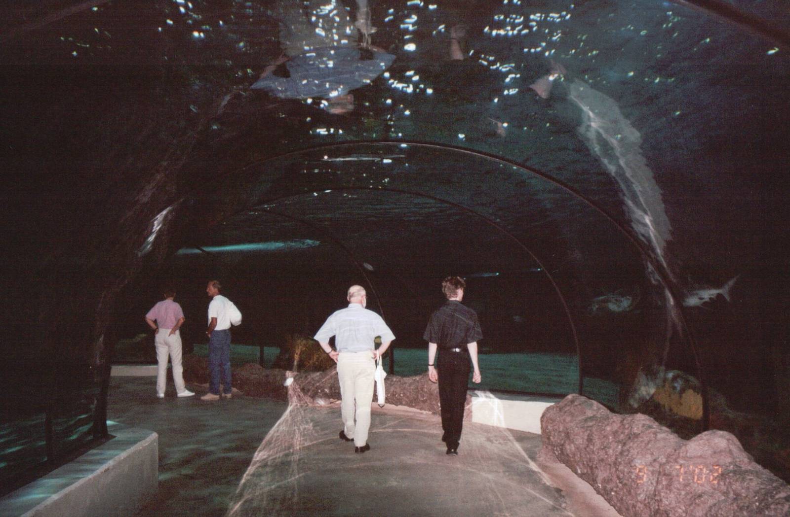 Blijdorp 2002 - Walk-through tunnel in the Oceanium