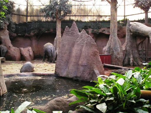 Blijdorp / Rotterdam Taman indah