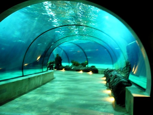 Blijdorp / Rotterdam zoo Oceanium