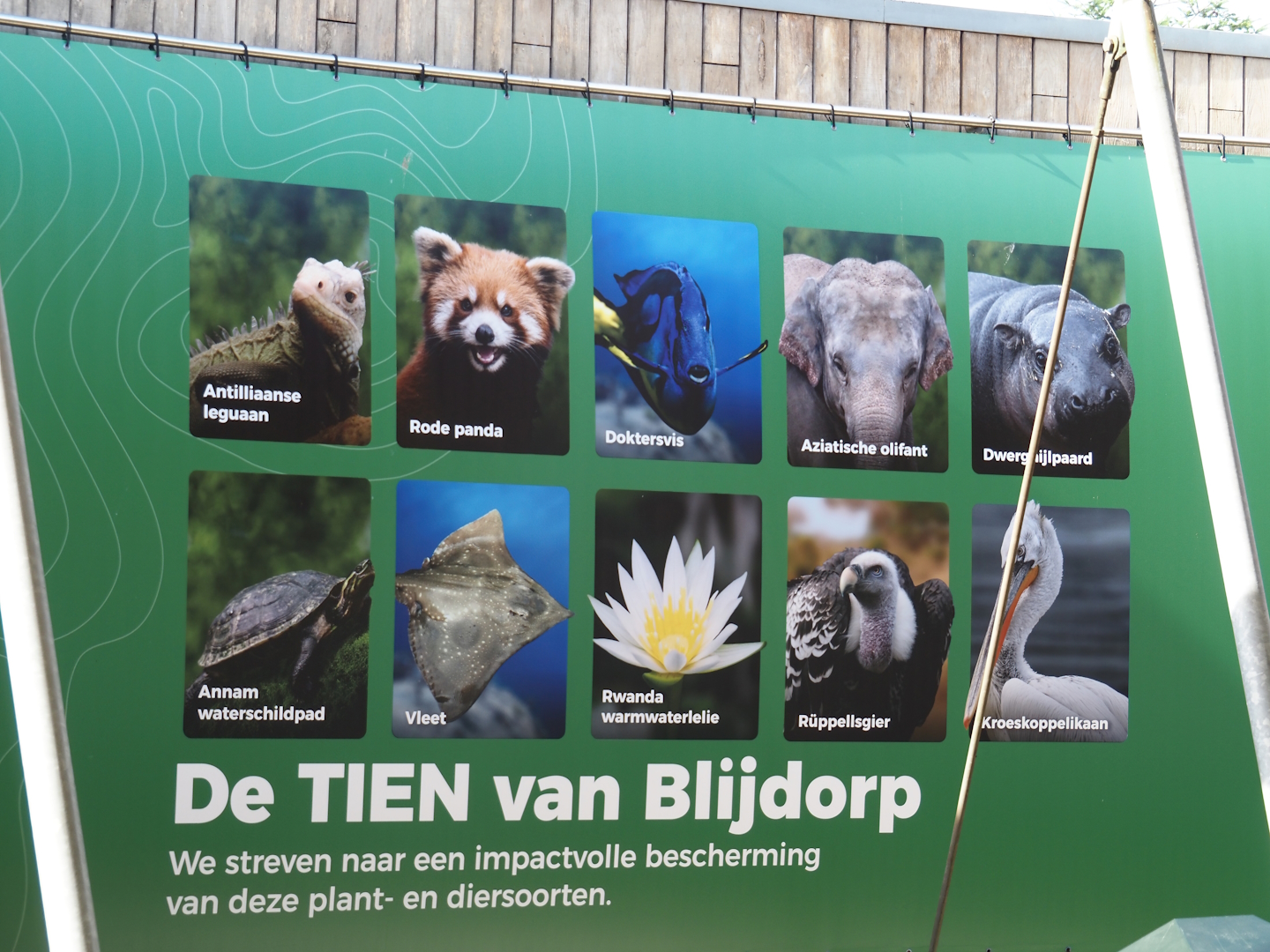 Blijdorp's ten impact species sign,  2024-06-30
