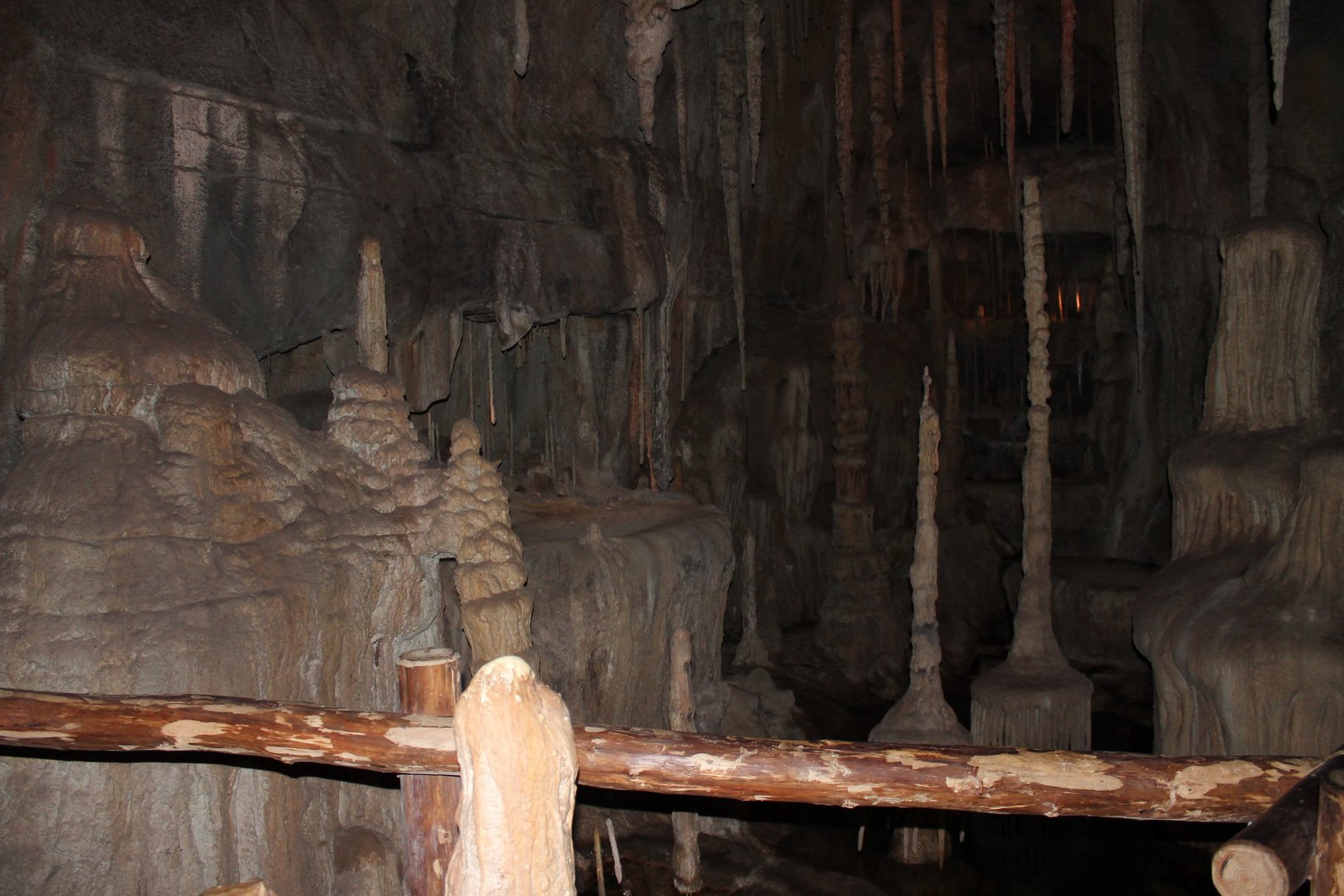 Blind cave fish enclosure