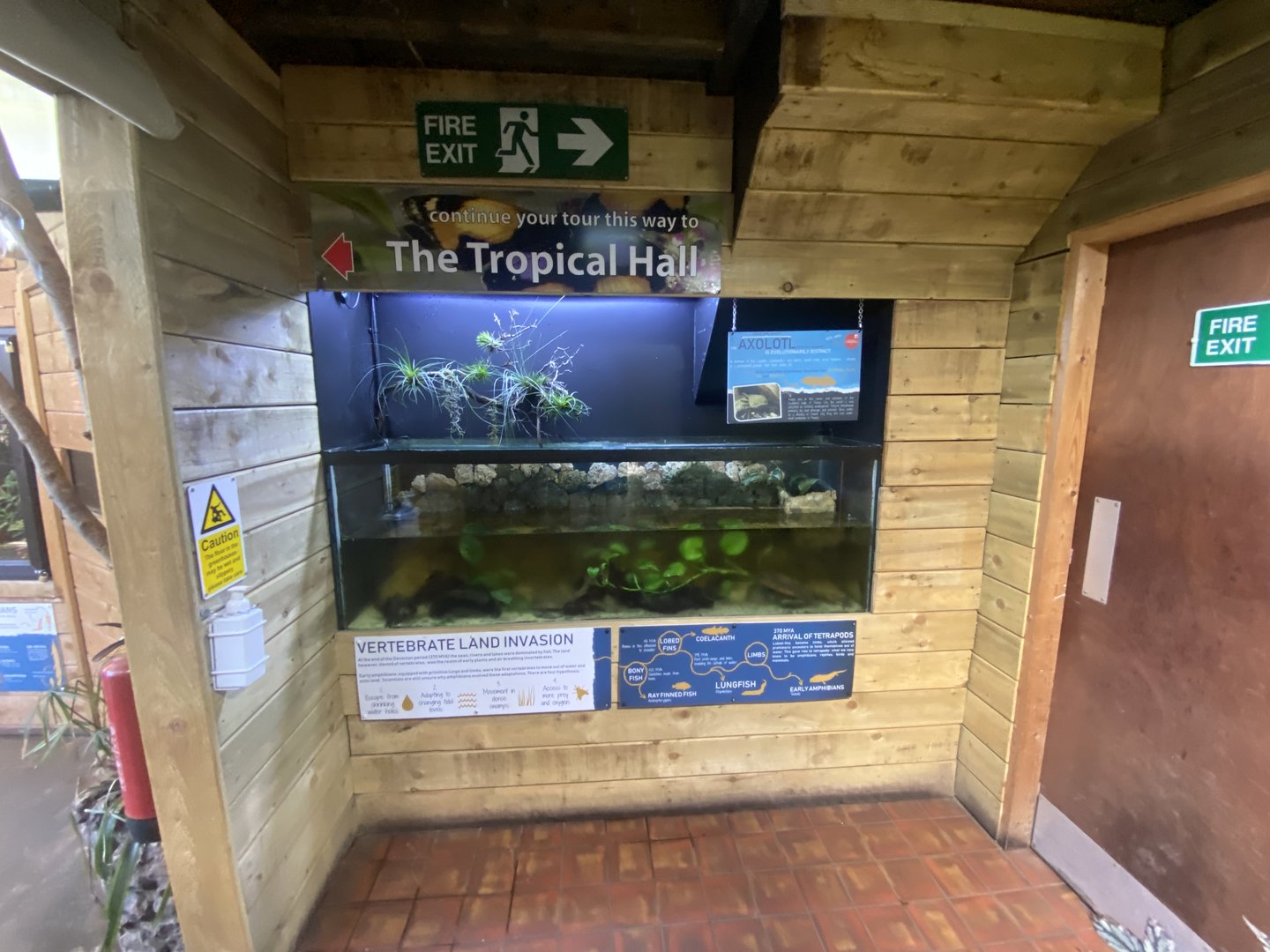 Blind cave fish exhibit 230922